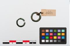 Foto von Bronzering (NHMW-PRAE-024369)